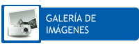 Galeria de Im�genes